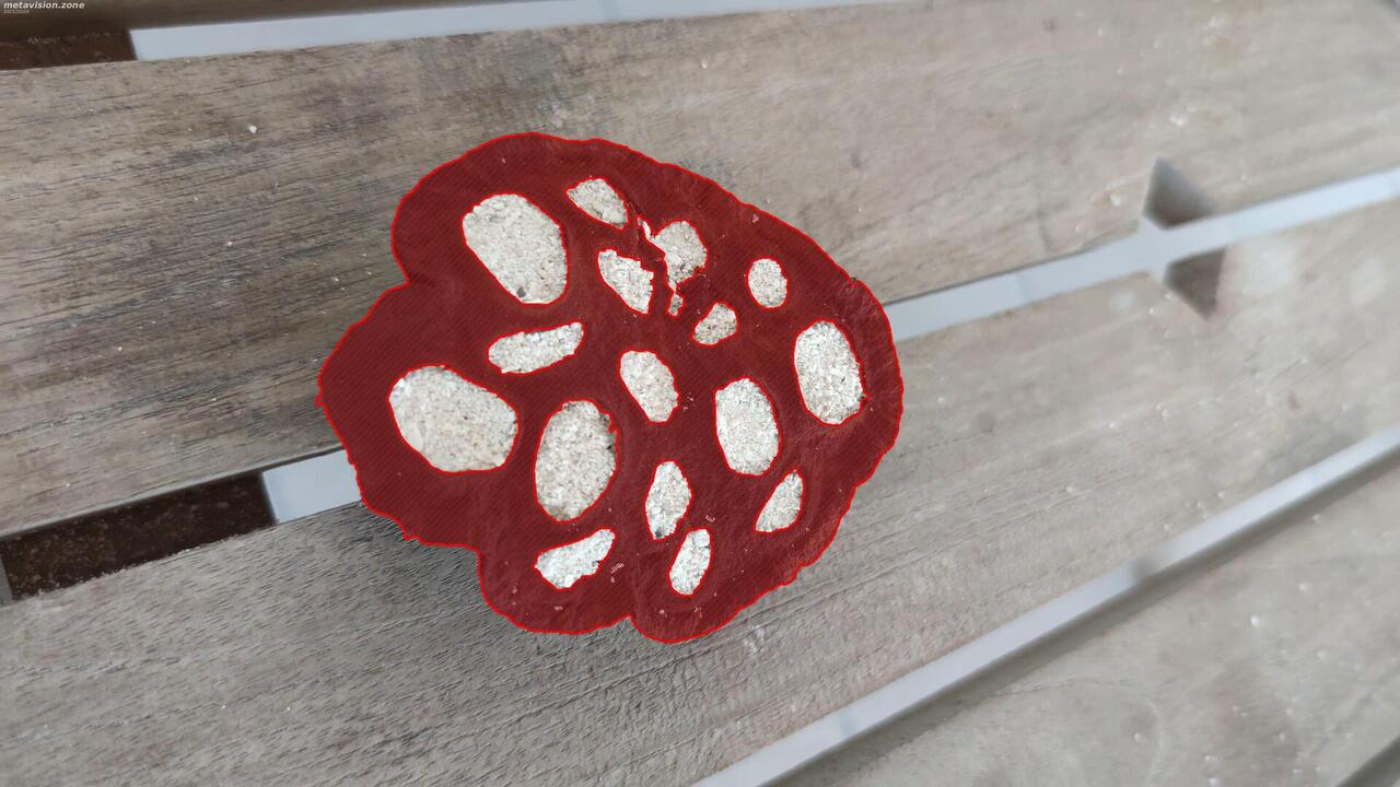 A strange lotus dried seed pod
